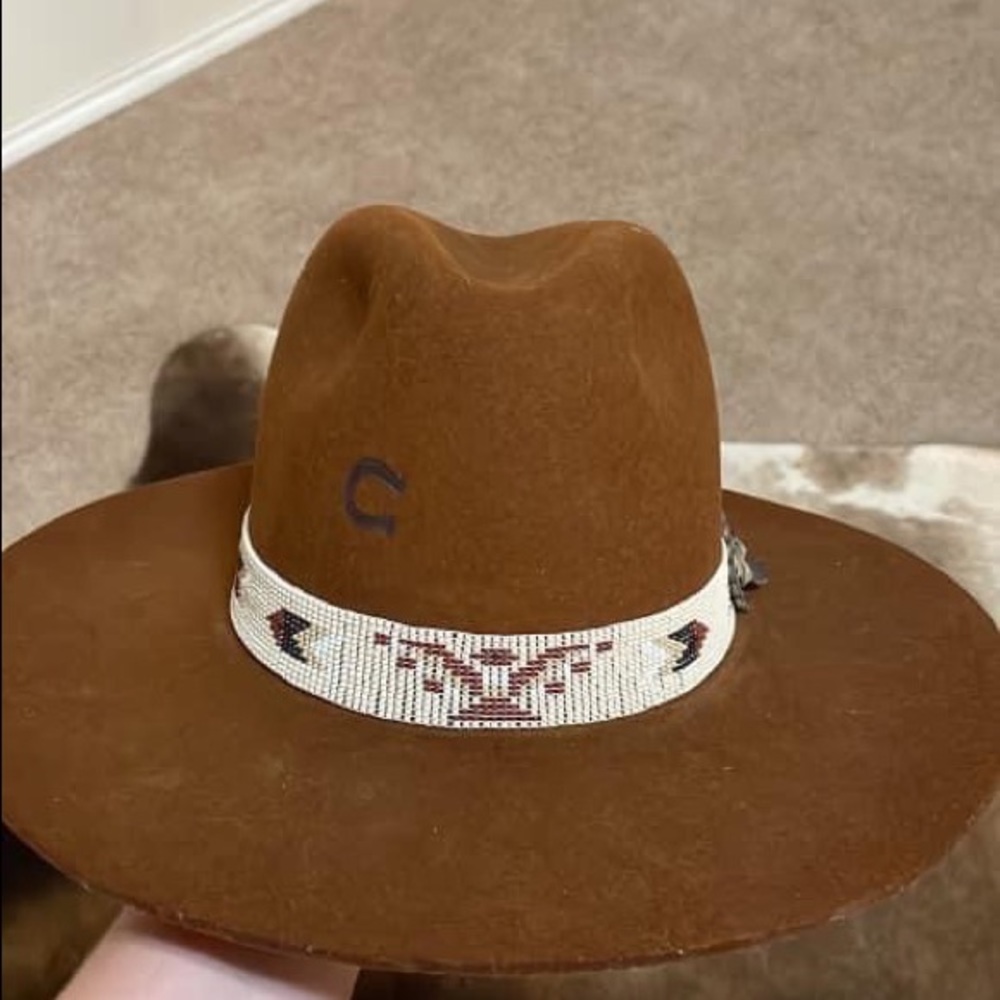 Charlie One Horse Rain Bird